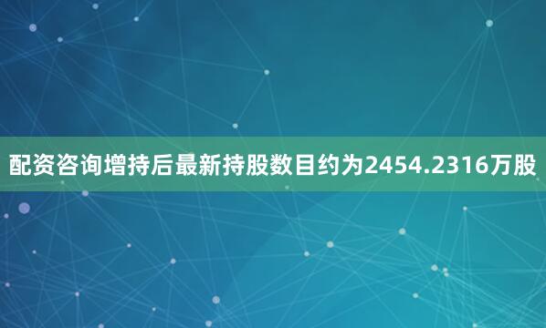 配资咨询增持后最新持股数目约为2454.2316万股