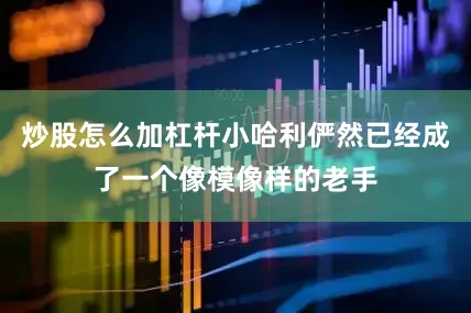 炒股怎么加杠杆小哈利俨然已经成了一个像模像样的老手