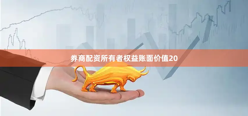 券商配资所有者权益账面价值20
