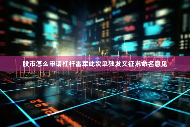 股市怎么申请杠杆雷军此次单独发文征求命名意见