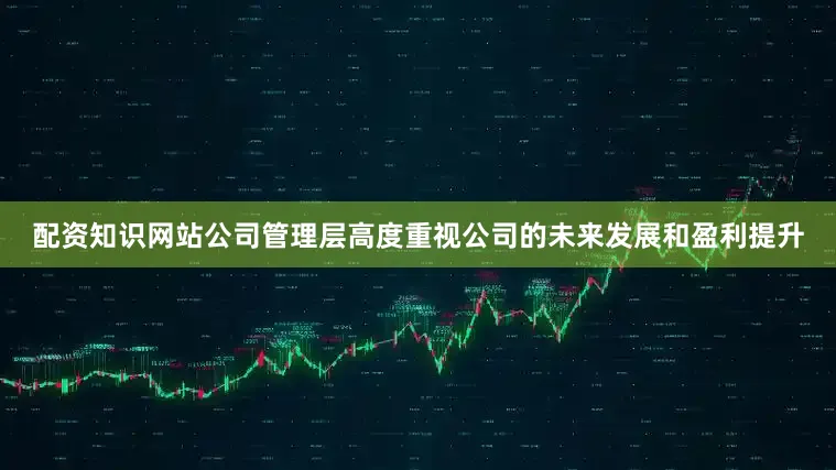 配资知识网站公司管理层高度重视公司的未来发展和盈利提升